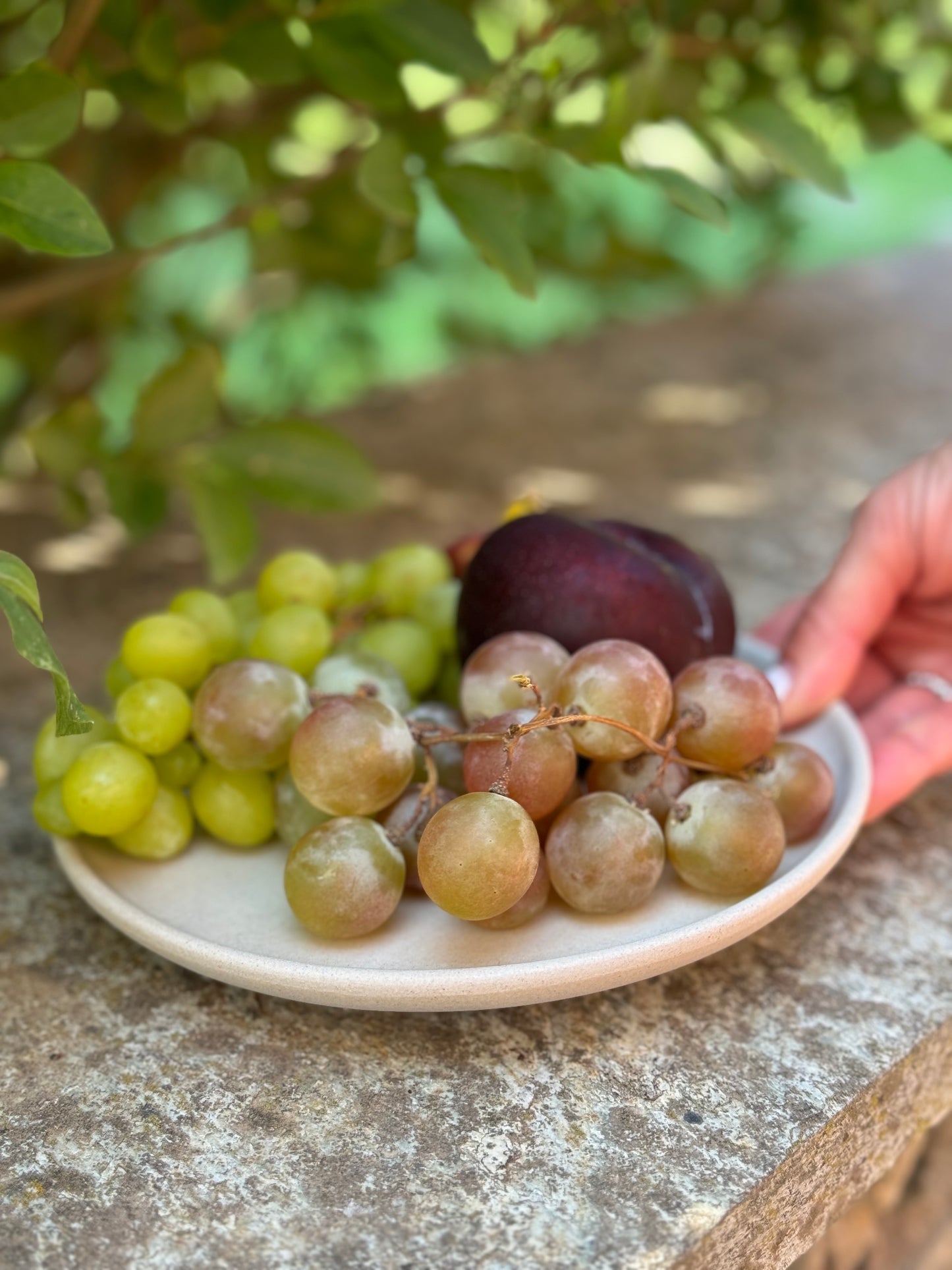 Marga medium Teller – 19 cm