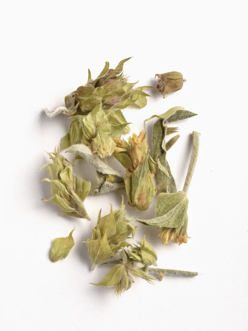 Griechischer Berg-Kräutertee (lose Blätter) - BIO